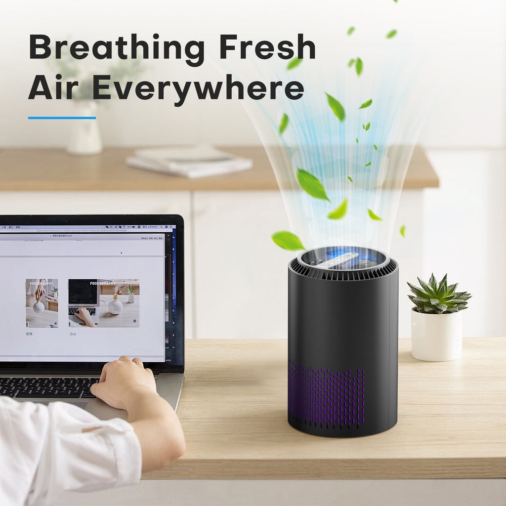BREEZOME Hepa Air Purifier for Home & Bedroom, 22 dB Quiet Sleep Mode, Air Cleaner for PM10, PM2.5, Dust, Cotton Lint & Hair, Covers Up to 600 sq. ft./2H, Black